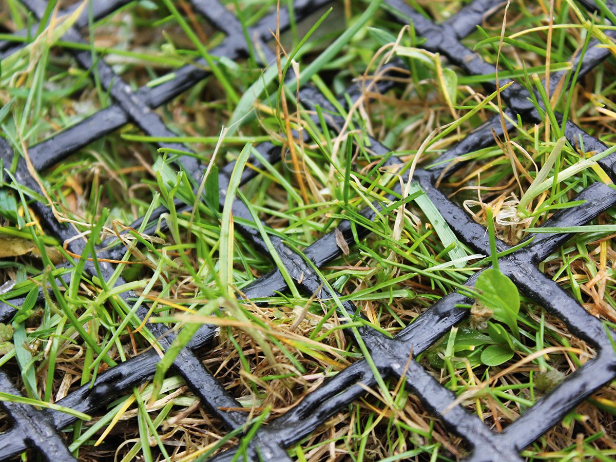Mřížková rohož  na ochranu trávníku, šíře 5 m, libovolná délka